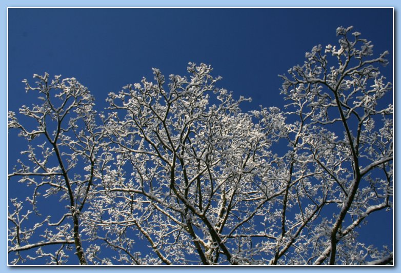 Arnhem Snow 165